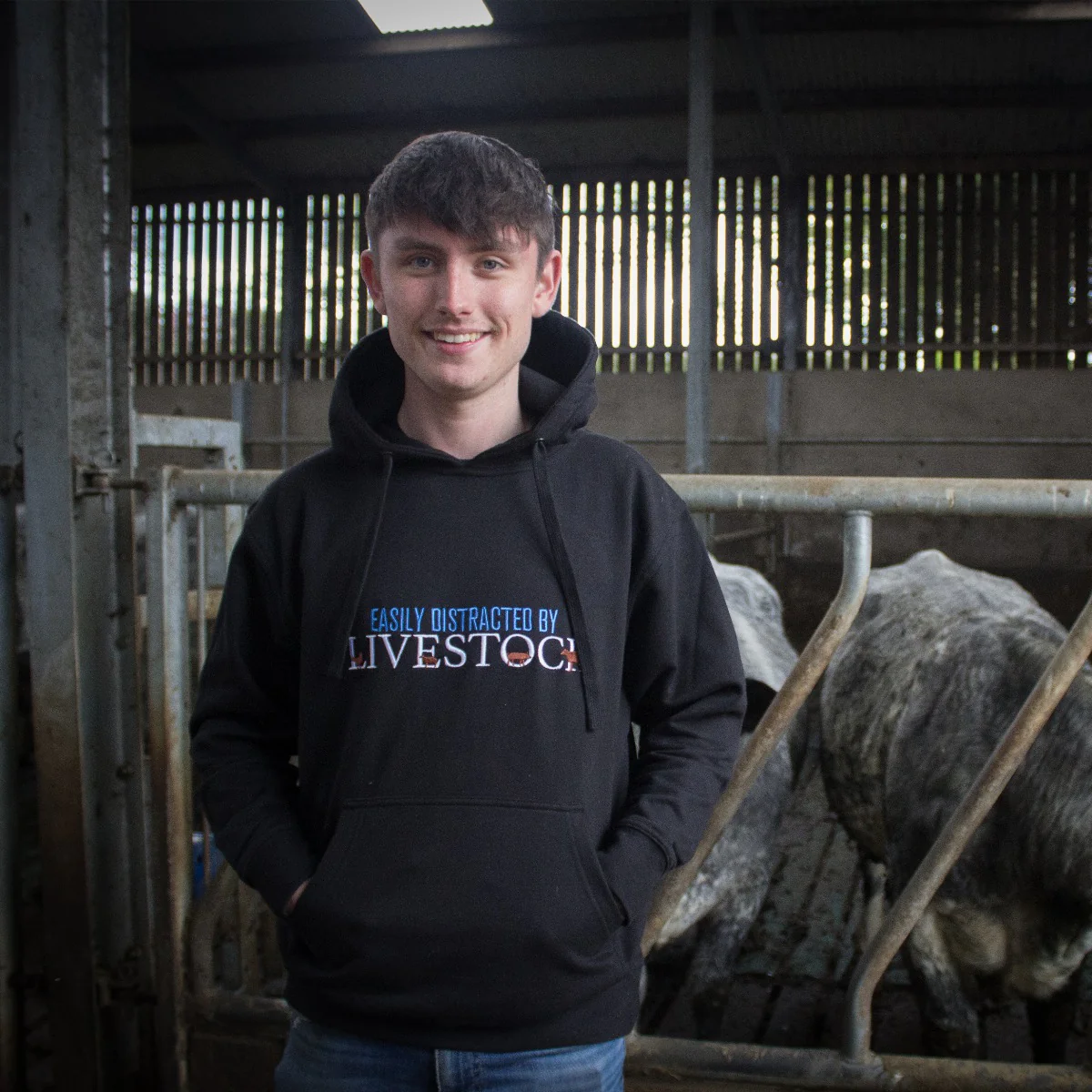 "Easily Distracted By Livestock" Unisex Adults Novelty Hoodie - Choose Colour - Image 11