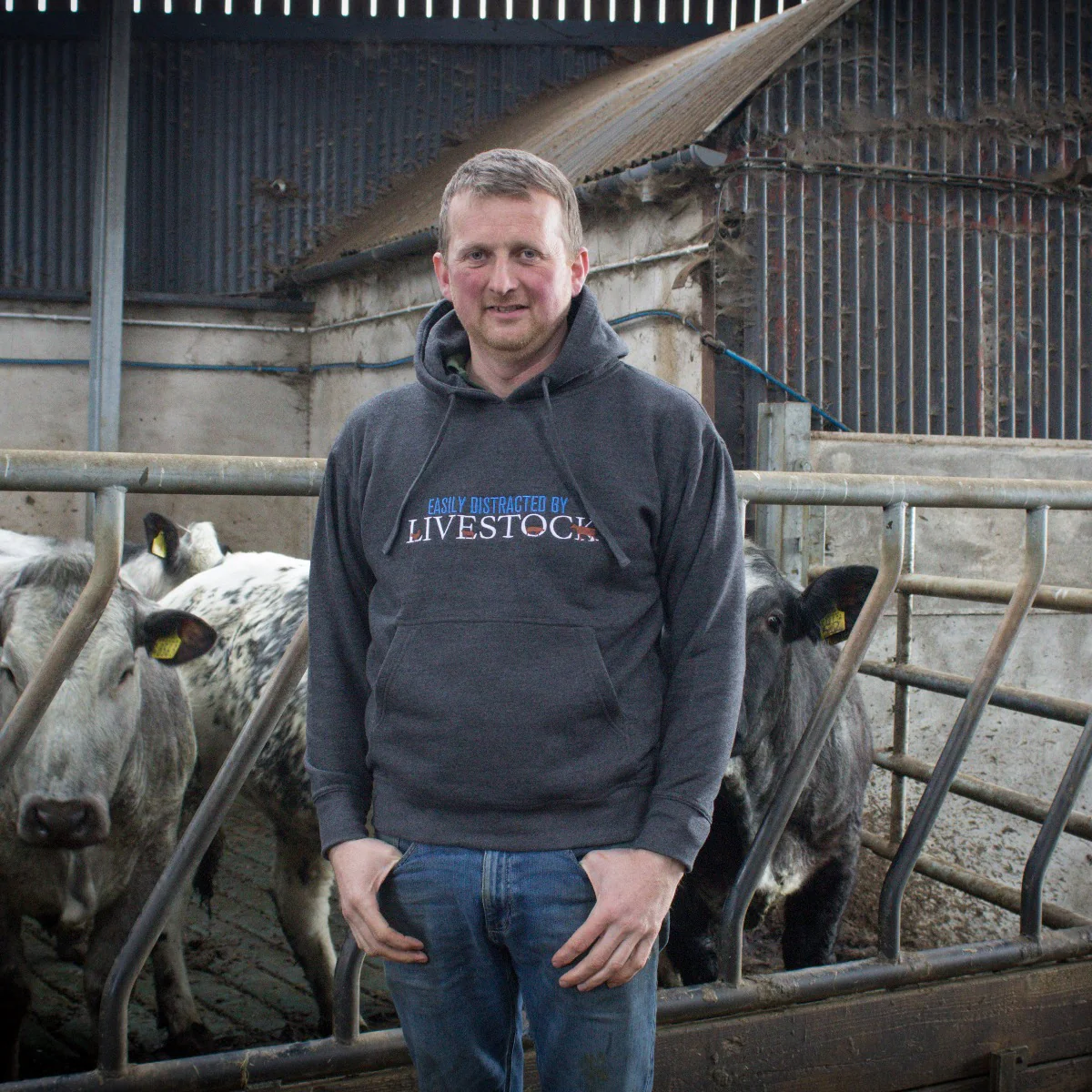 "Easily Distracted By Livestock" Unisex Adults Novelty Hoodie - Choose Colour - Image 7