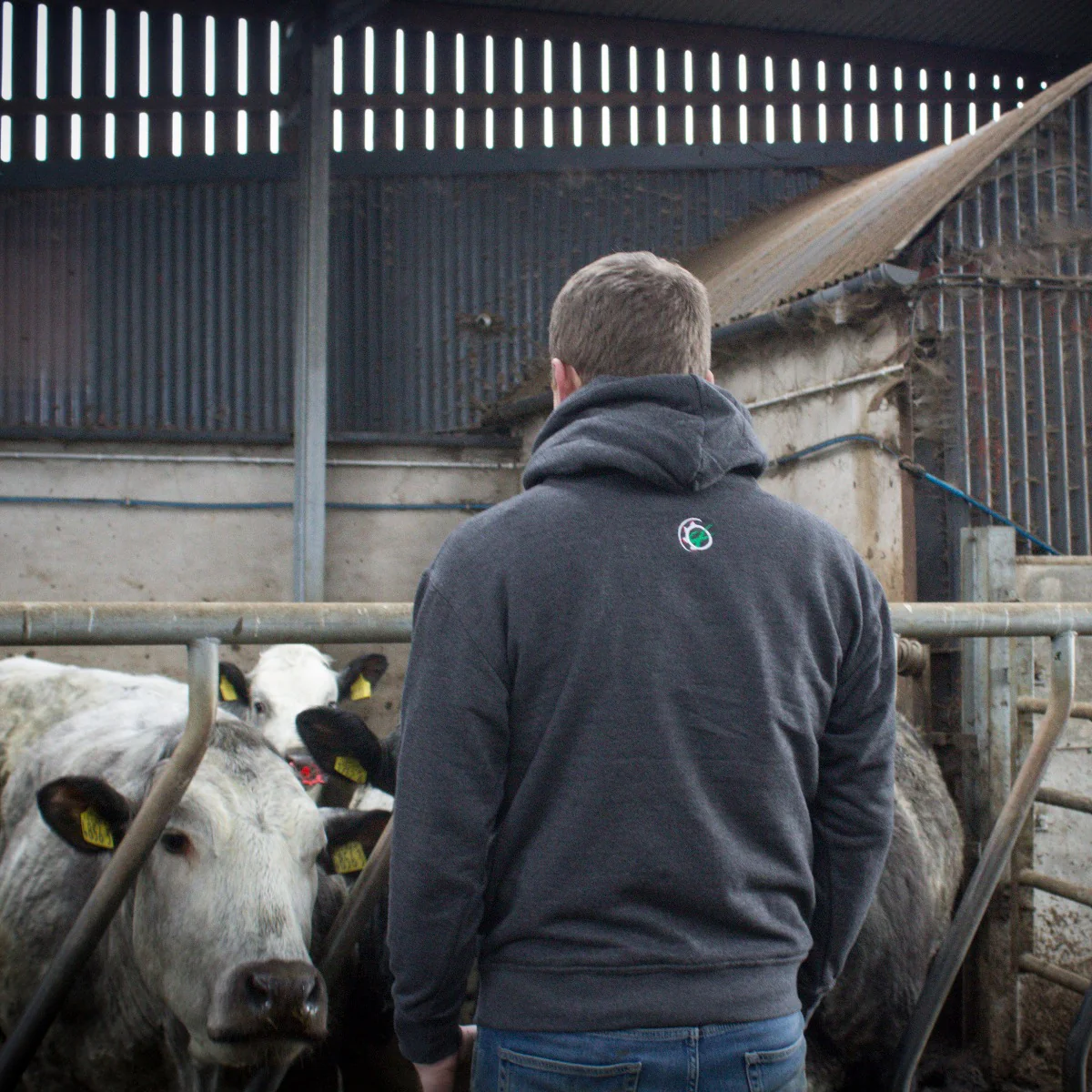 "Easily Distracted By Livestock" Unisex Adults Novelty Hoodie - Choose Colour - Image 8