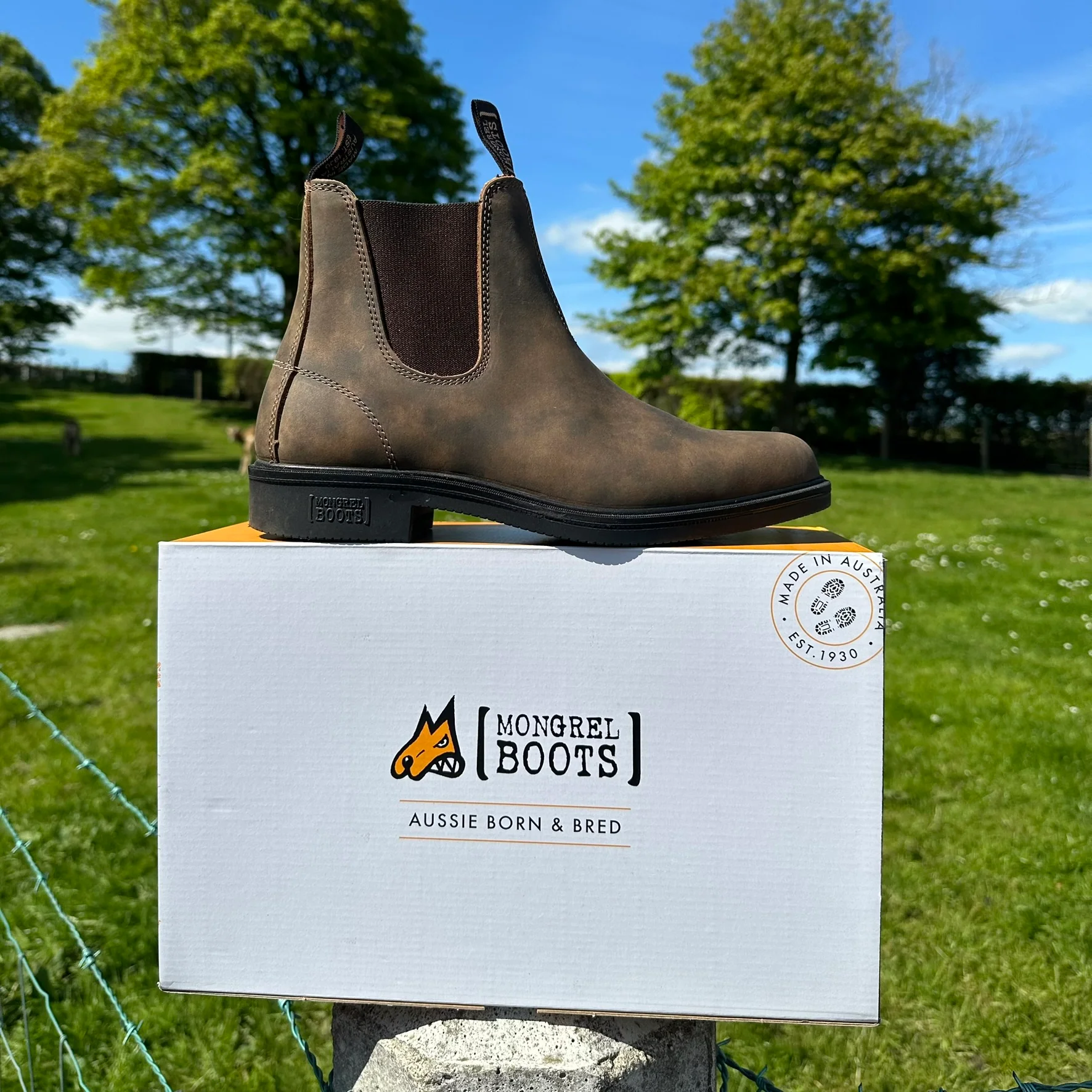 Mongrel Dealer Boots, Cloudy Brown, Chisel Toe, Non-Safety K92075 - Image 30