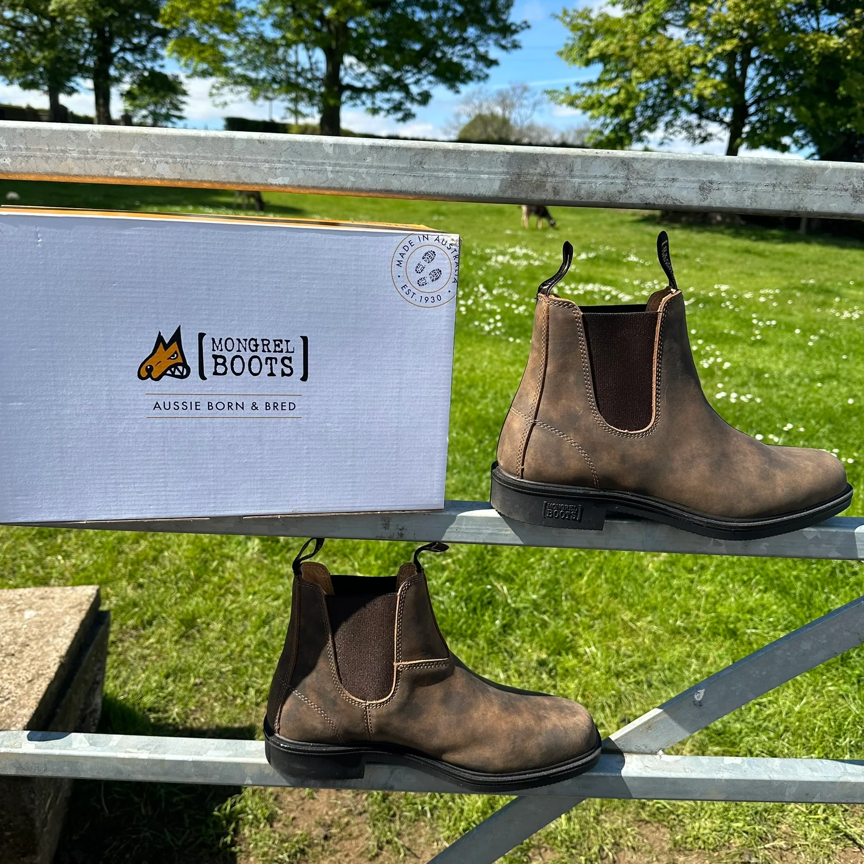 Mongrel Dealer Boots, Cloudy Brown, Chisel Toe, Non-Safety K92075 - Image 33
